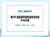 3.4 基因通常是有遗传效应的DNA片段-高中生物 课件+练习（人教版2019 必修2）