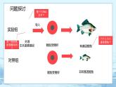 3.4 基因通常是有遗传效应的DNA片段-高中生物 课件+练习（人教版2019 必修2）