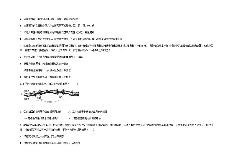 山东省青岛市第五十八中学2022-2023学年高一上学期期中考试生物试题含答案第3页