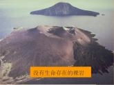 选择性必修2第2章- 第3节课件