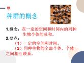 高中生物学-RJ-选择性必修2第1章- 第1节课件