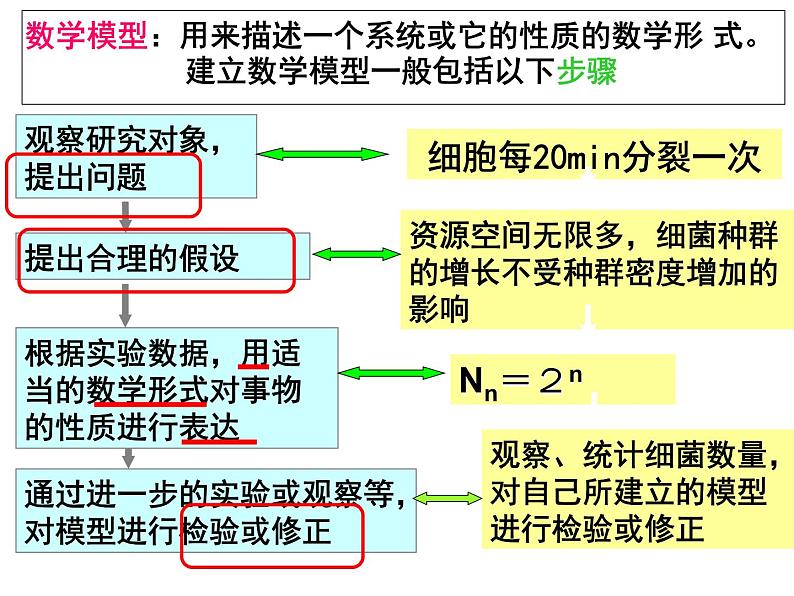 高中生物学-RJ-选择性必修2第1章- 第2节课件第7页