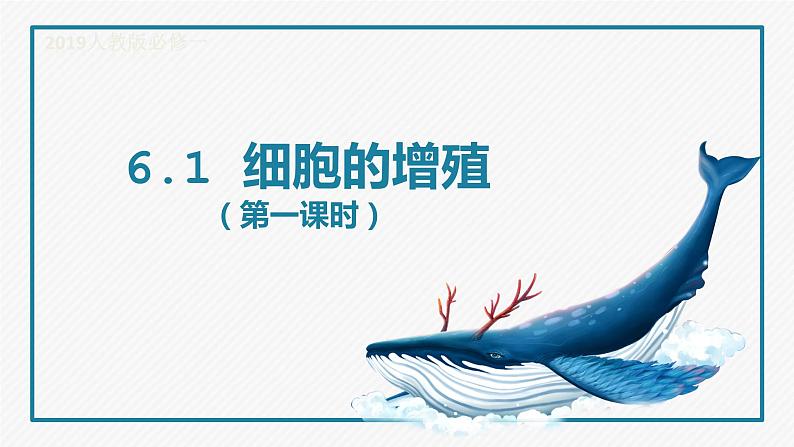 2019人教版高中生物必修一第六章第一课时 细胞的增殖 课件01