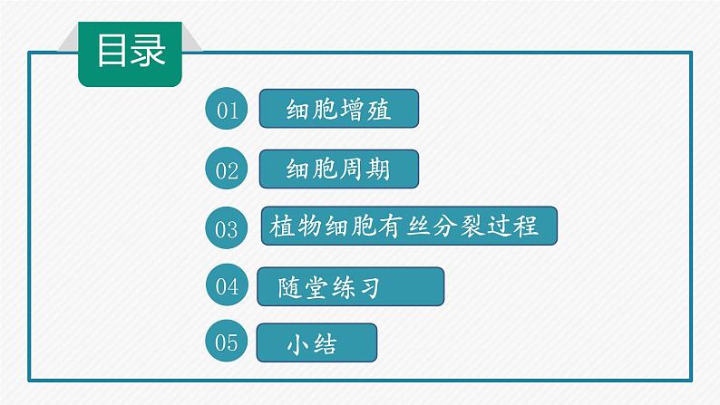 2019人教版高中生物必修一第六章第一课时 细胞的增殖 课件03