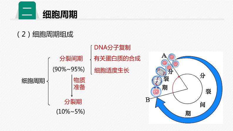 2019人教版高中生物必修一第六章第一课时 细胞的增殖 课件08