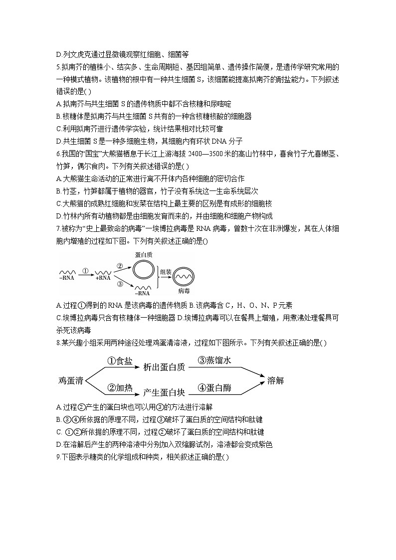 湖北省宜城一中、枣阳一中等六校联考2022-2023学年高一生物上学期期中考试试题（Word版附答案）02