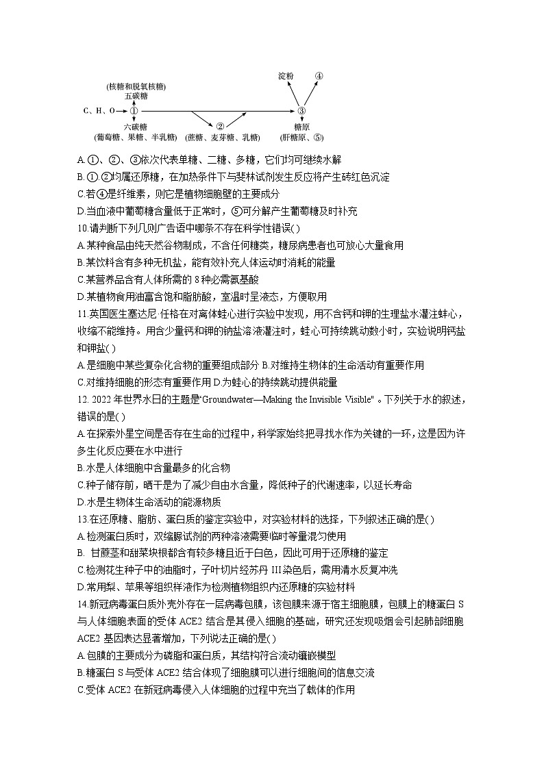 湖北省宜城一中、枣阳一中等六校联考2022-2023学年高一生物上学期期中考试试题（Word版附答案）03