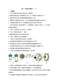 天津市河西区2022-2023学年高一生物上学期期中考试试题（Word版附答案）