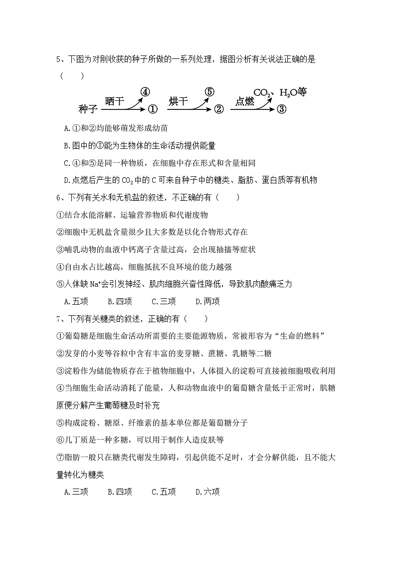 陕西省师范大学附属中学2022-2023学年高一生物上学期期中考试试题（Word版附答案）02