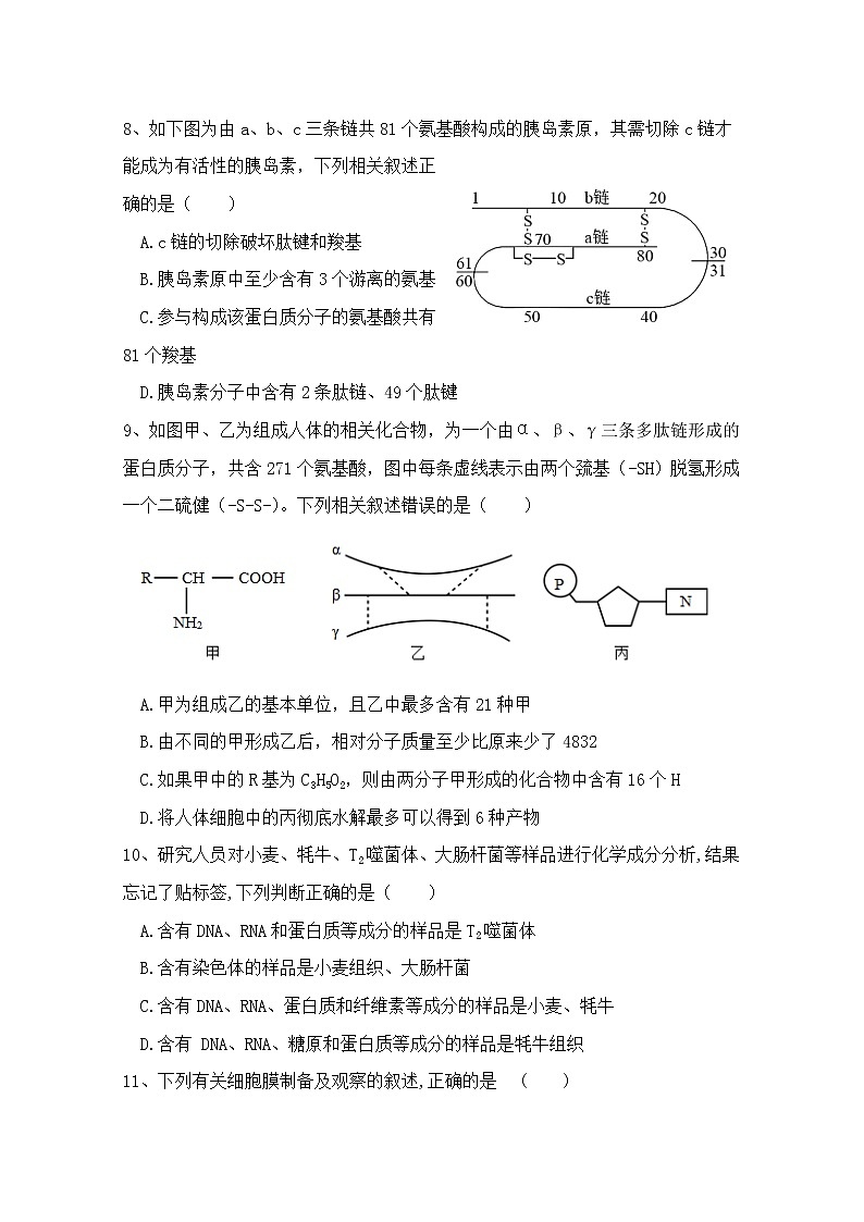 陕西省师范大学附属中学2022-2023学年高一生物上学期期中考试试题（Word版附答案）03