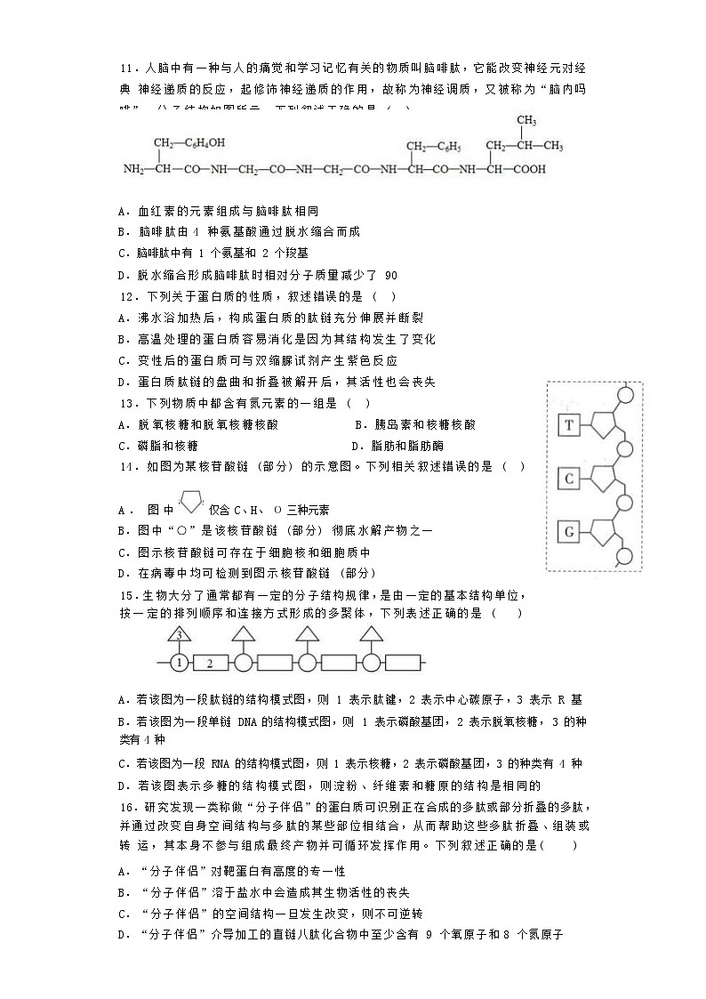 福建省福州第三中学2022-2023学年高一生物上学期期中检测试题（Word版附答案）第3页
