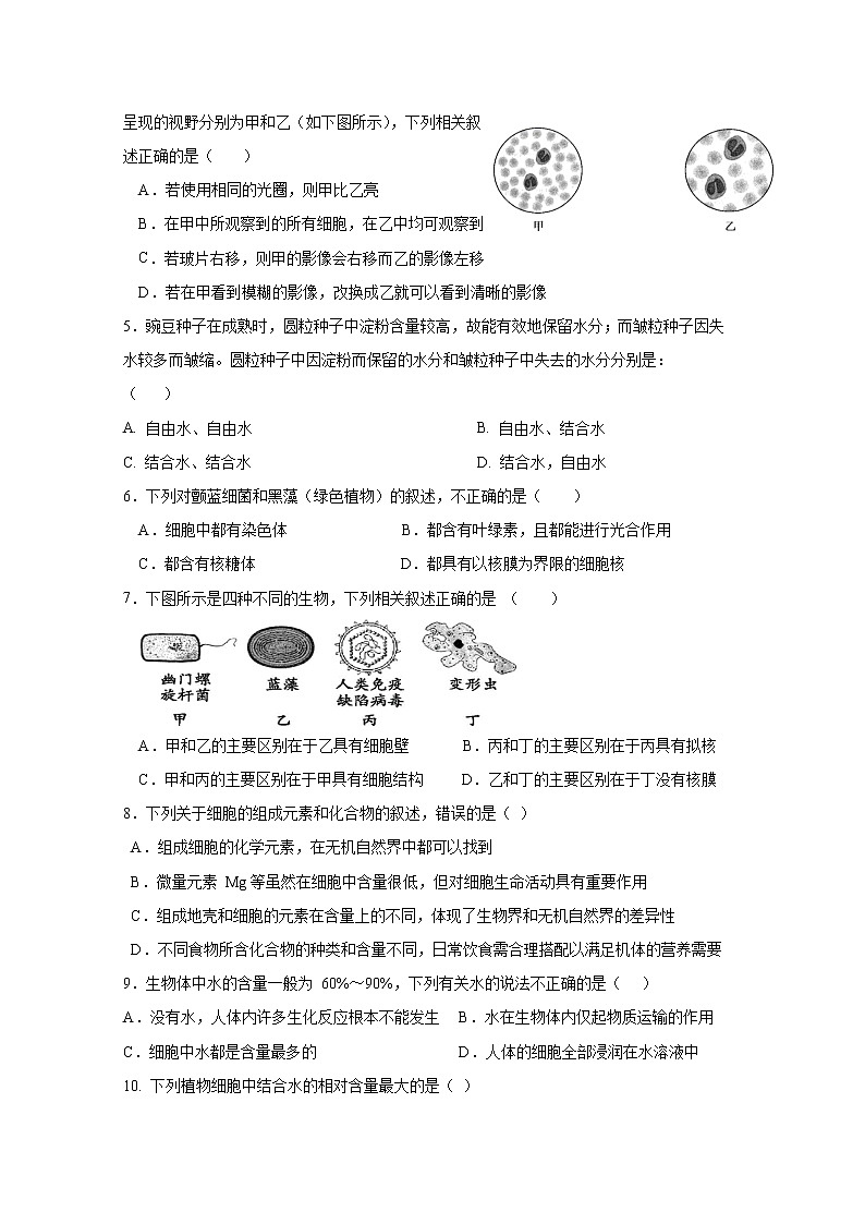 四川省成都外国语学校2022-2023学年高一生物上学期期中考试试卷（Word版附答案）02