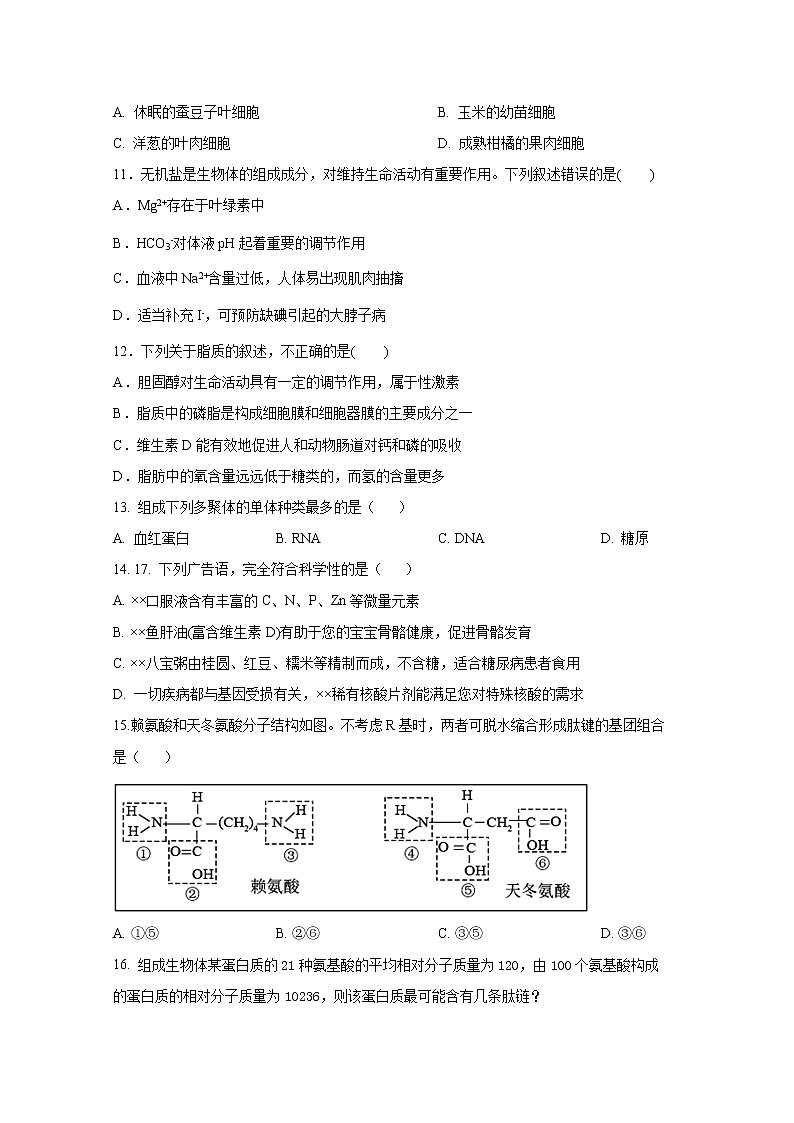 四川省成都外国语学校2022-2023学年高一生物上学期期中考试试卷（Word版附答案）03