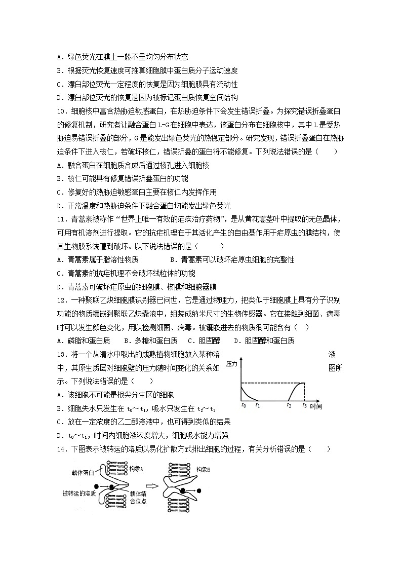 山东省青岛市第五十八中学2022-2023学年高一生物上学期期中考试试题（Word版附答案）03