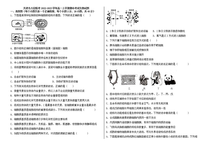 天津市八校联考2022-2023学年高一生物上学期期中考试试题（Word版附答案）01
