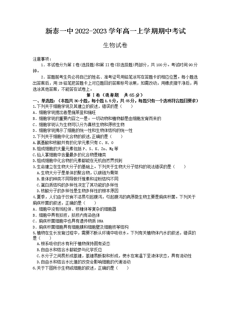 山东省新泰市第一中学2022-2023学年高一生物上学期期中考试试卷（Word版附答案）第1页