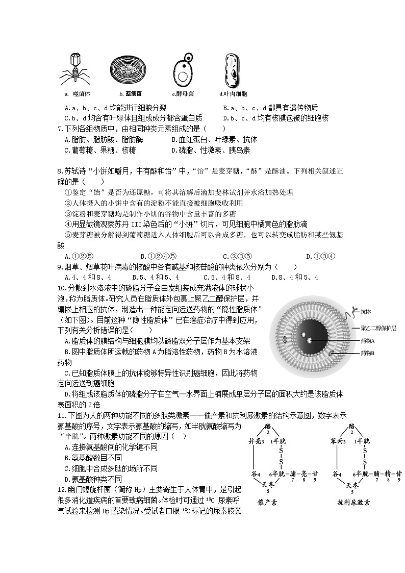 山东省新泰市第一中学2022-2023学年高一生物上学期期中考试试卷（Word版附答案）第2页