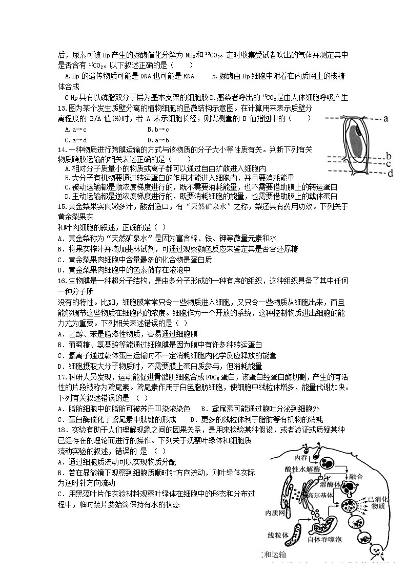 山东省新泰市第一中学2022-2023学年高一生物上学期期中考试试卷（Word版附答案）第3页