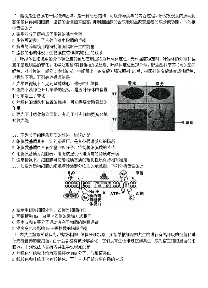 山东省潍坊市2022-2023学年高一生物上学期期中质量监测试题（Word版附答案）03
