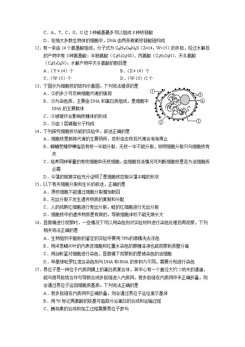 宁夏回族自治区银川一中2022-2023学年高二生物上学期期中考试试题（Word版附答案）03