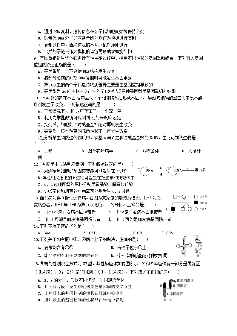 宁夏银川市第二中学2022-2023学年高二生物上学期期中考试试题（Word版附答案）02