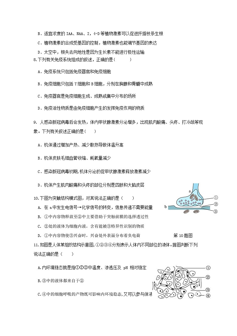 浙江省宁波市北仑中学2022-2023学年高二生物上学期期中检测试题（Word版附答案）02