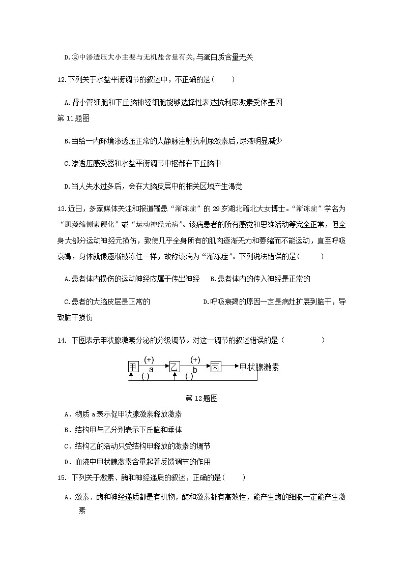 浙江省宁波市北仑中学2022-2023学年高二生物上学期期中检测试题（Word版附答案）03