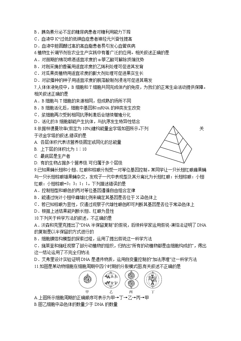 河北省冀东名校2022-2023学年高三生物上学期期中调研试卷（Word版附答案）第2页