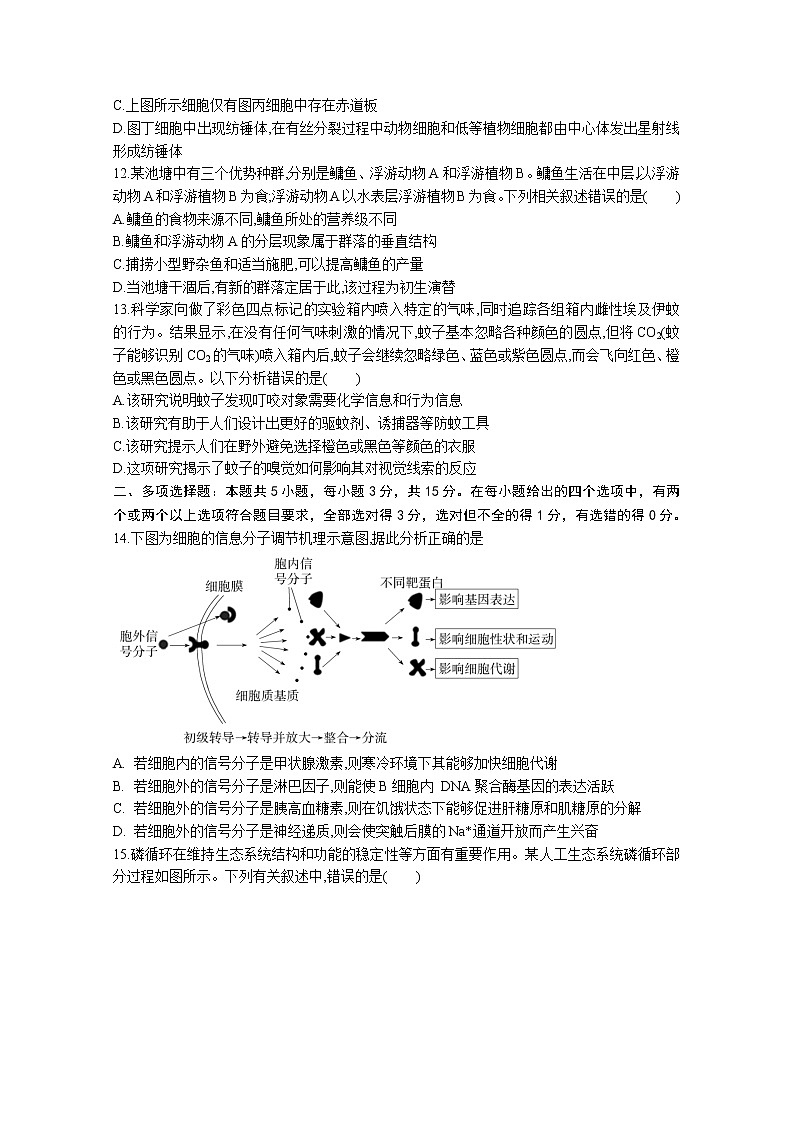 河北省冀东名校2022-2023学年高三生物上学期期中调研试卷（Word版附答案）第3页
