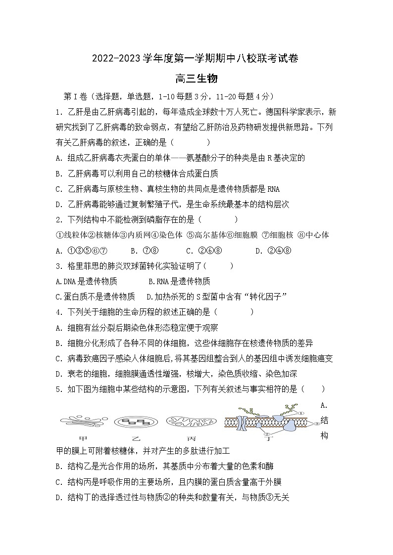 天津市八校联考2022-2023学年高三生物上学期期中考试试题（Word版附答案）第1页