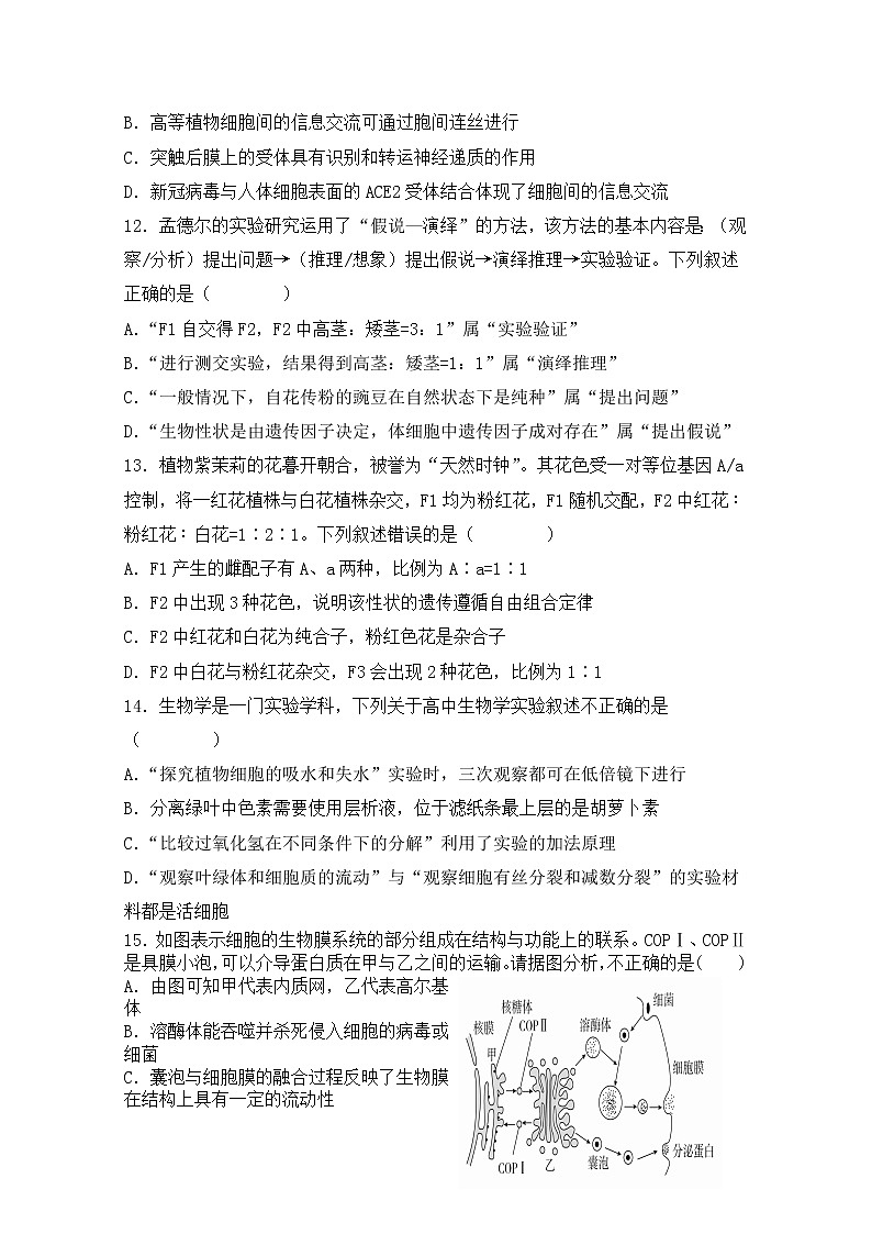 天津市八校联考2022-2023学年高三生物上学期期中考试试题（Word版附答案）第3页