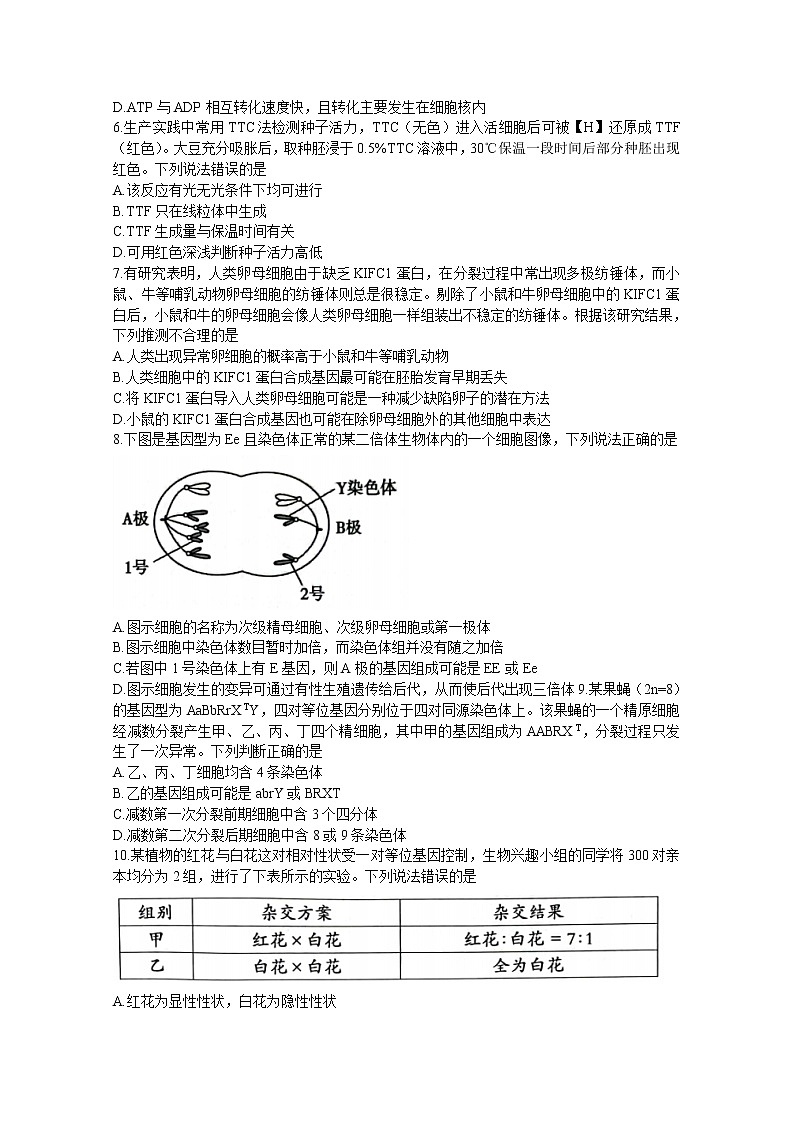 山东省泰安市2023届高三生物上学期11月期中考试试题（Word版附答案）02