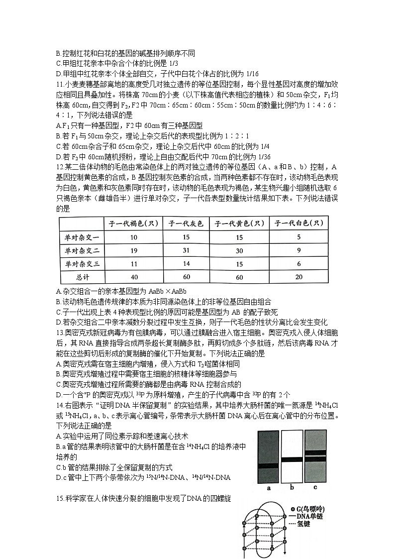 山东省泰安市2023届高三生物上学期11月期中考试试题（Word版附答案）03