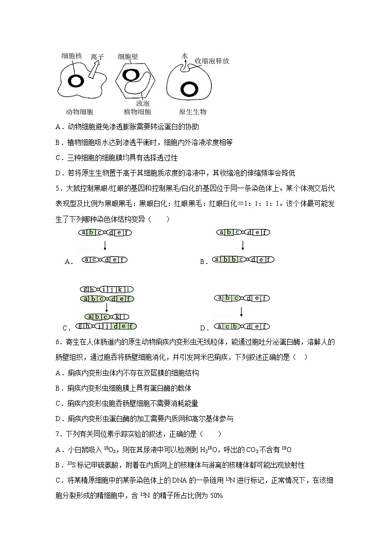 辽宁省六校2022-2023学年高三生物上学期期中联考试题（Word版附答案）第2页