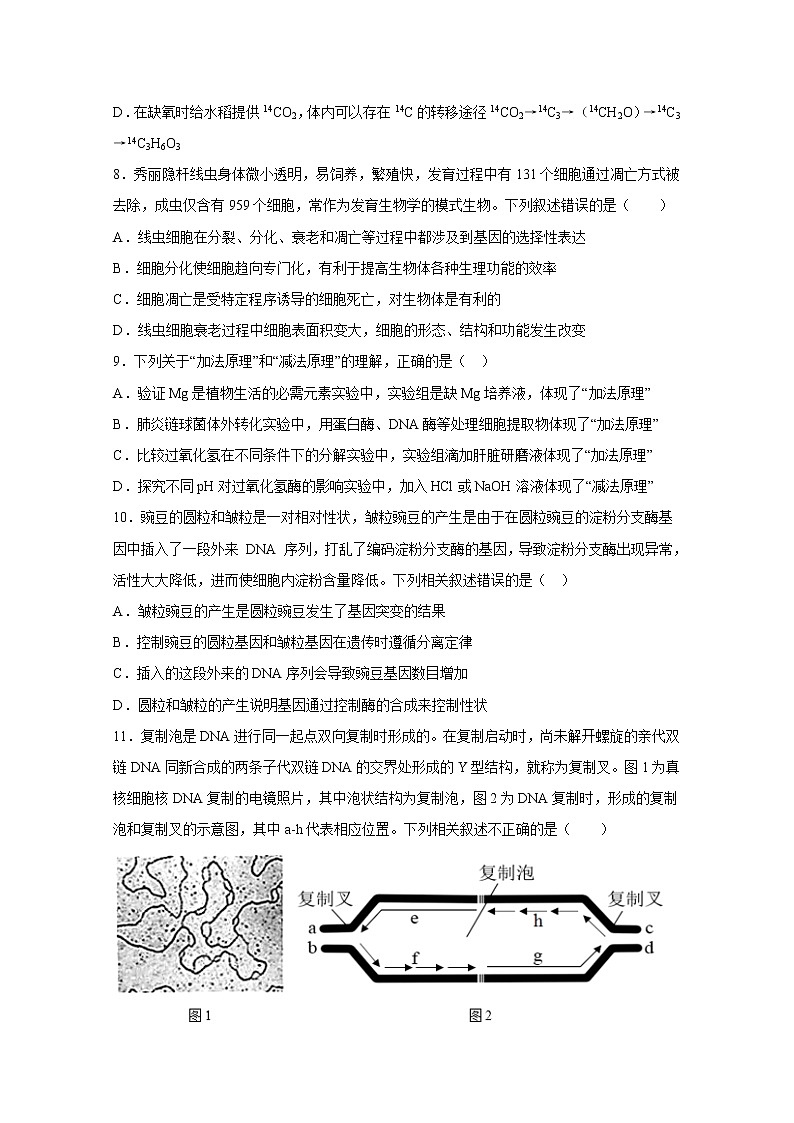 辽宁省六校2022-2023学年高三生物上学期期中联考试题（Word版附答案）第3页