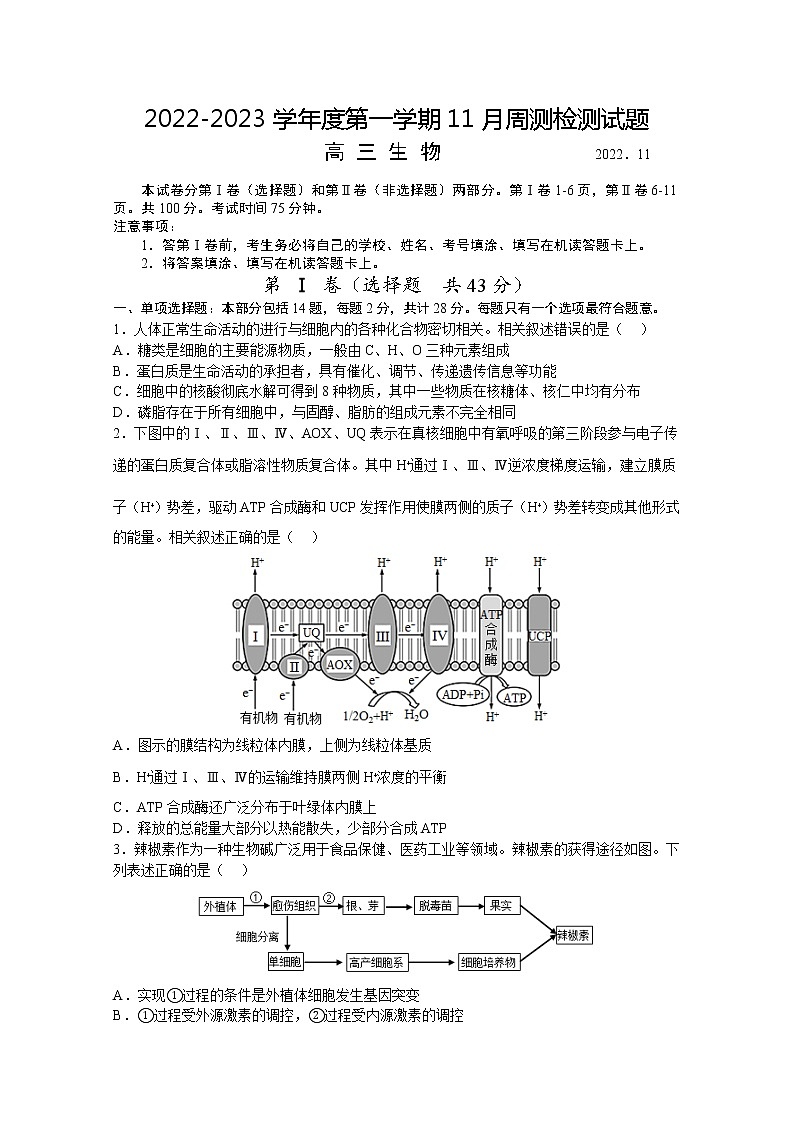 江苏省扬州中学2022-2023学年高三生物上学期11月双周练月考试题（Word版附答案）第1页