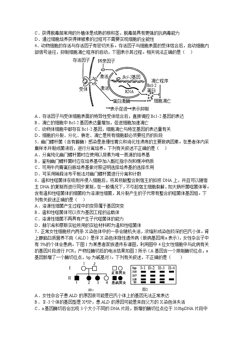 江苏省扬州中学2022-2023学年高三生物上学期11月双周练月考试题（Word版附答案）第2页