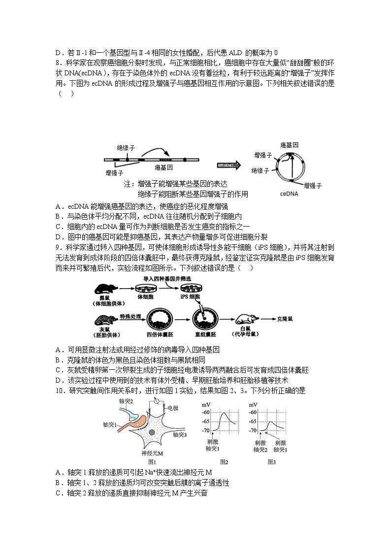 江苏省扬州中学2022-2023学年高三生物上学期11月双周练月考试题（Word版附答案）第3页