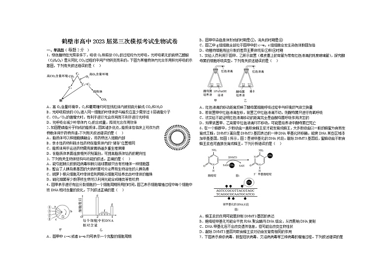 河南省鹤壁市高中2022-2023学年高三生物上学期第三次模拟试卷（Word版附解析）01