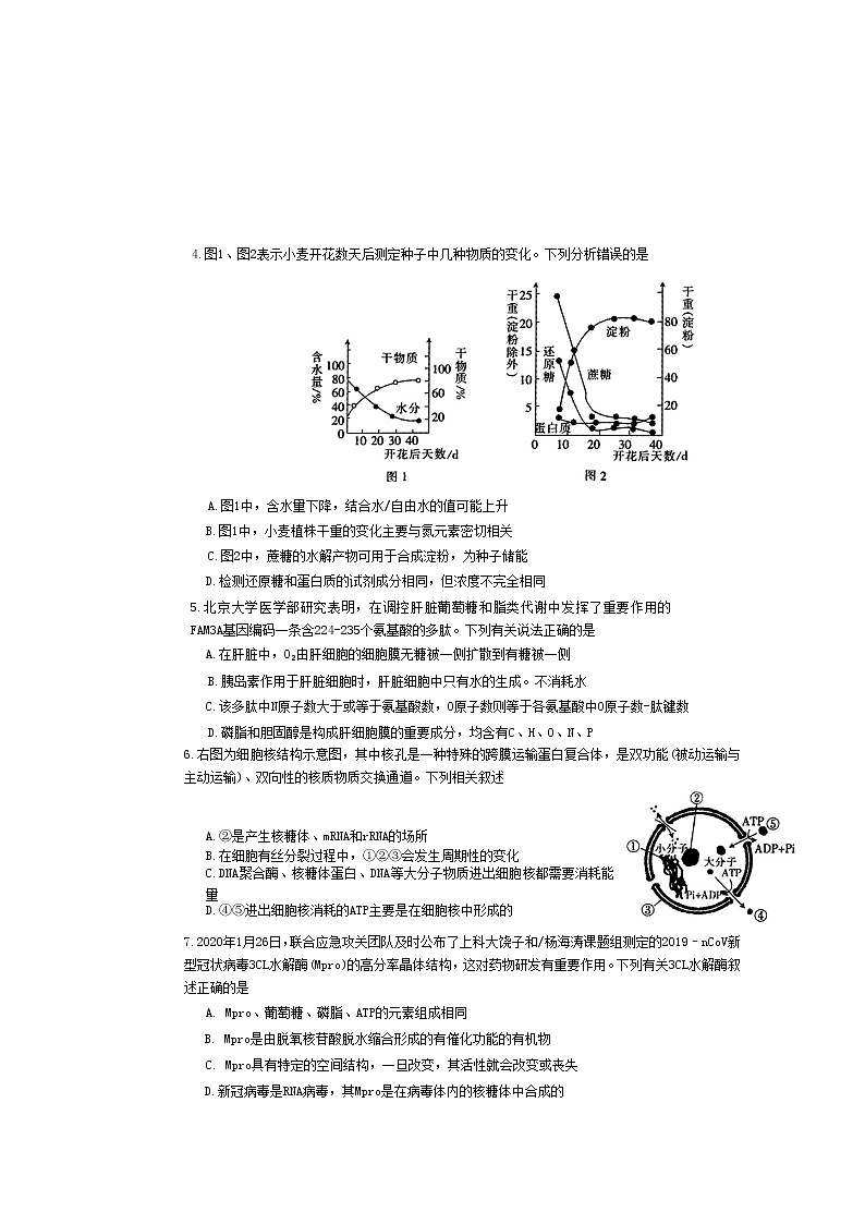 山西省运城市2022-2023学年高三生物上学期11月期中考试试题（Word版附答案）第3页