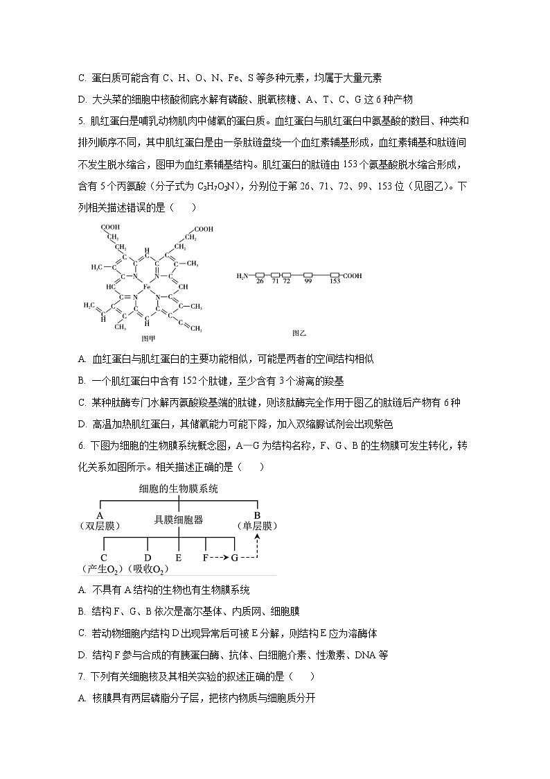 湖北省宜城一中、枣阳一中等六校联考2022-2023学年高三生物上学期期中考试试题（Word版附答案）第2页