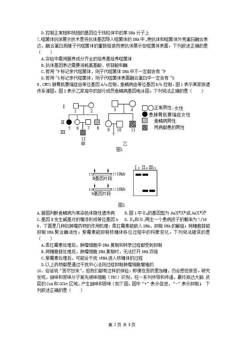 辽宁省葫芦岛市四校2022-2023学年高三生物上学期期中联考试题（Word版附答案）02
