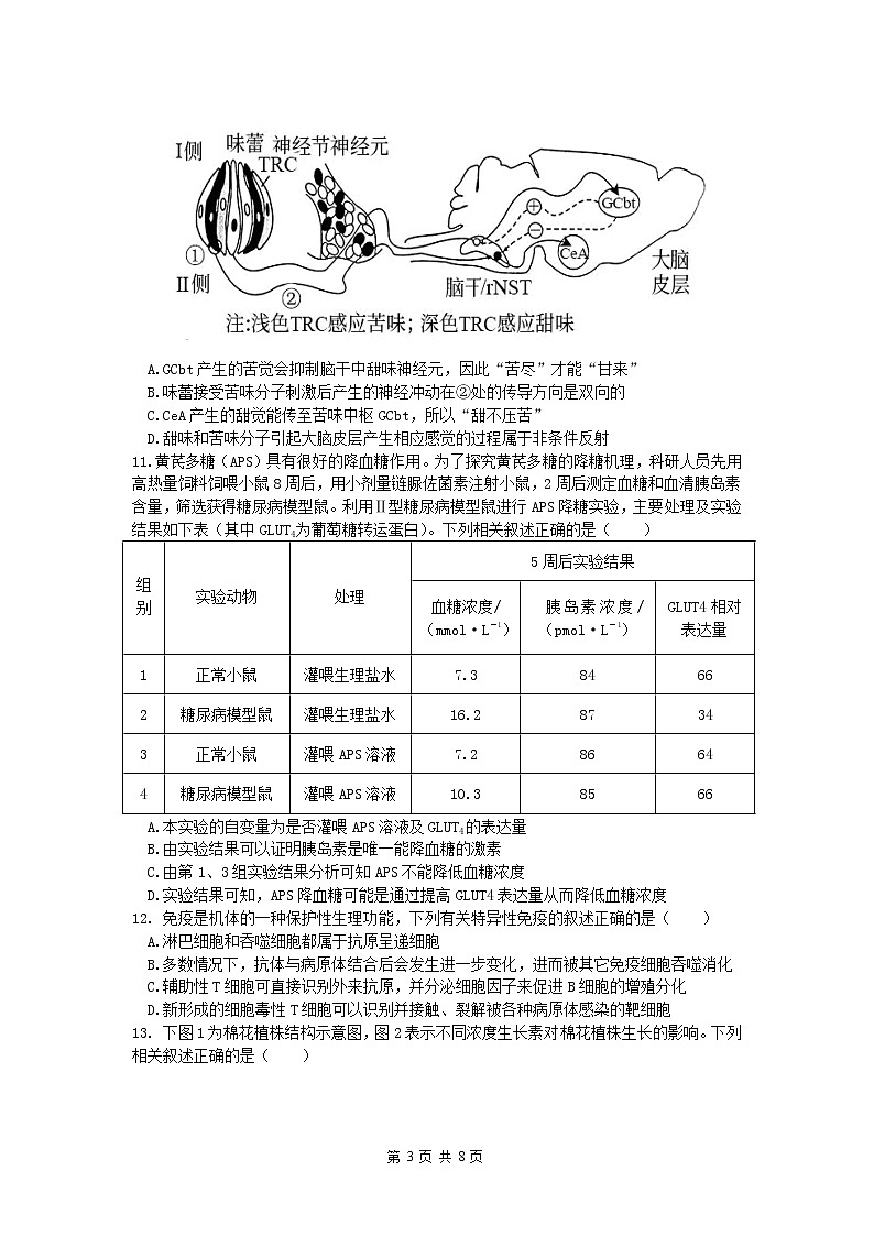 辽宁省葫芦岛市四校2022-2023学年高三生物上学期期中联考试题（Word版附答案）03