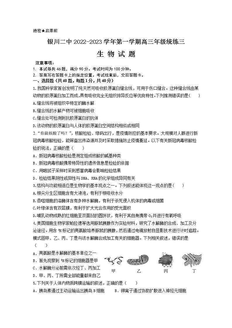 宁夏银川市第二中学2022-2023学年高三生物上学期统练三试题（Word版附答案）01
