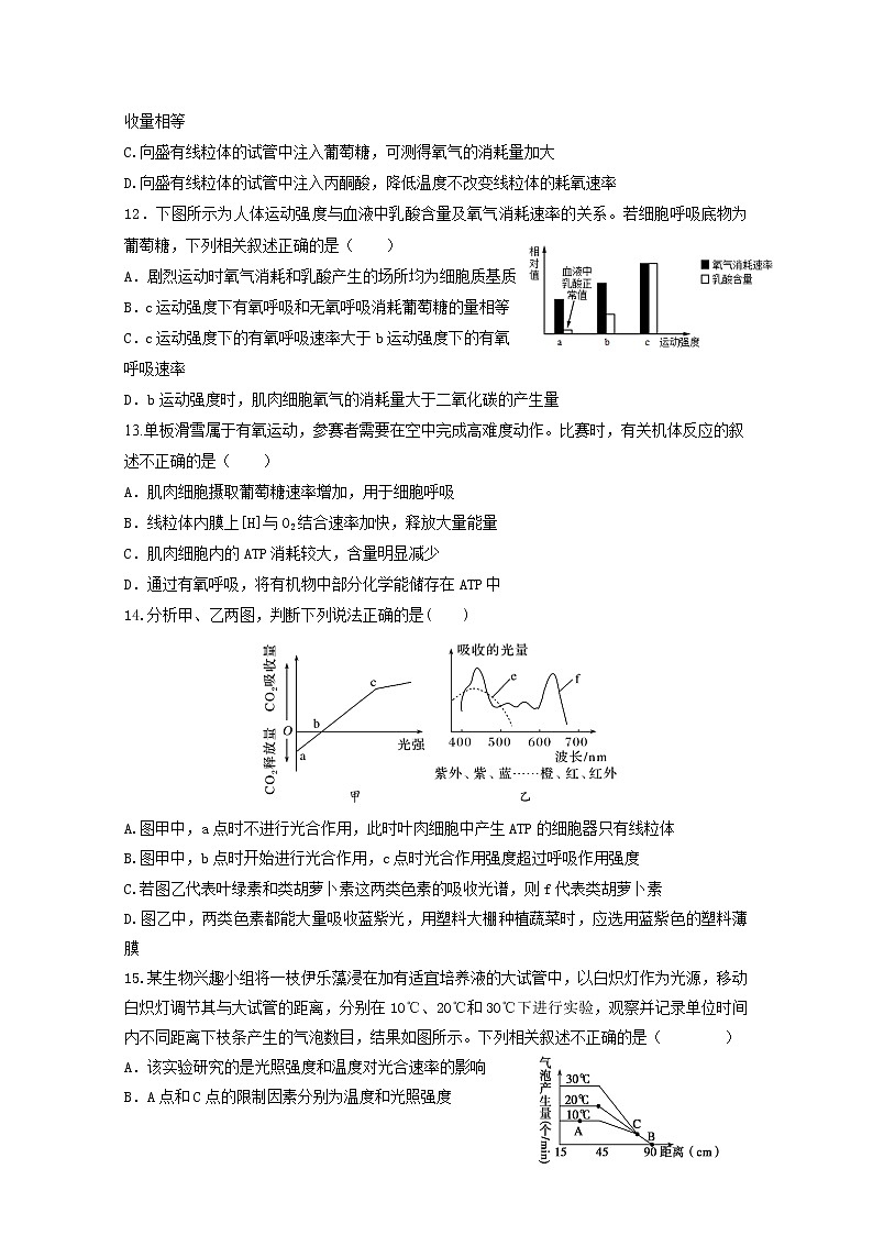 宁夏银川市第二中学2022-2023学年高三生物上学期统练三试题（Word版附答案）03
