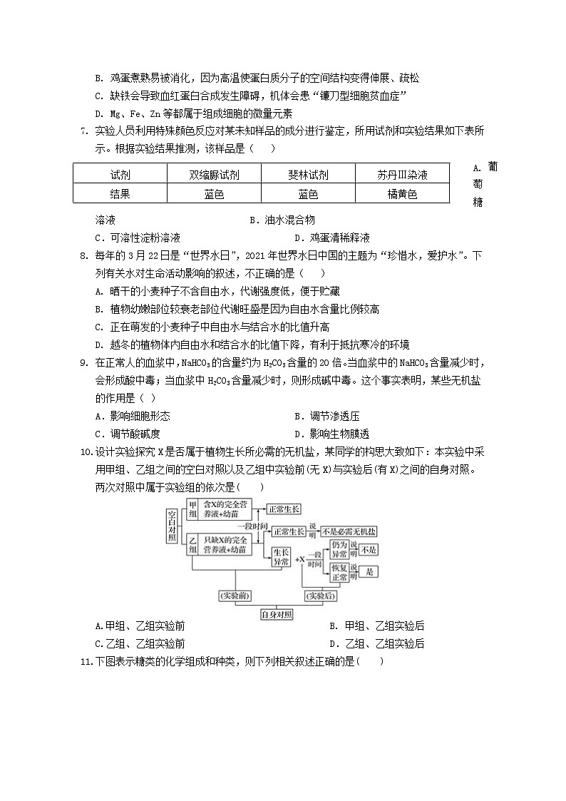 宁夏银川市第二中学2022-2023学年高一生物上学期期中考试试题（Word版附答案）第2页