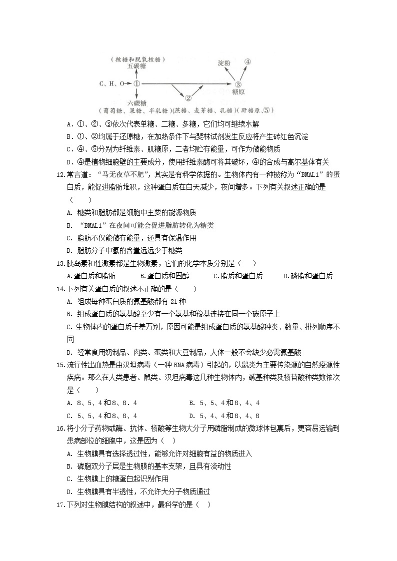 宁夏银川市第二中学2022-2023学年高一生物上学期期中考试试题（Word版附答案）第3页