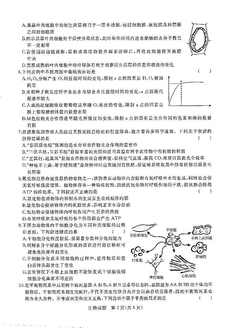 生物试卷河南省2022-2023学年高三上学期青桐鸣大联考02