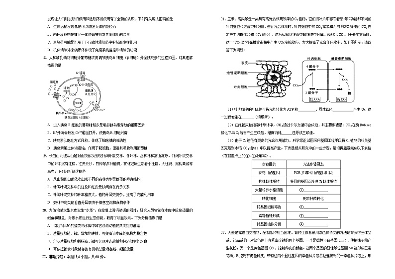 高中生物 （新高考）2021届高三第二次模拟考试卷 生物（二） 学生版第3页