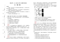 高中生物 （新高考）2021届高三第二次模拟考试卷 生物（四） 教师版